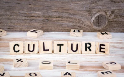 szolgaltatasok_szervezetfejlesztes