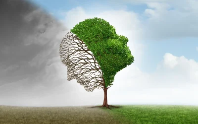 szolgaltatasok_szupervizio